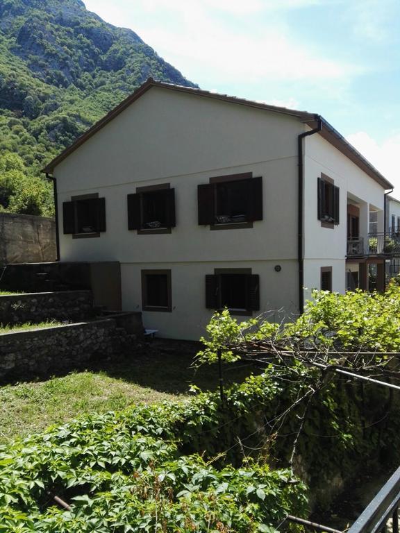 Alex Guesthouse Kotor Extérieur photo